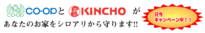 只今キャンペーン中!