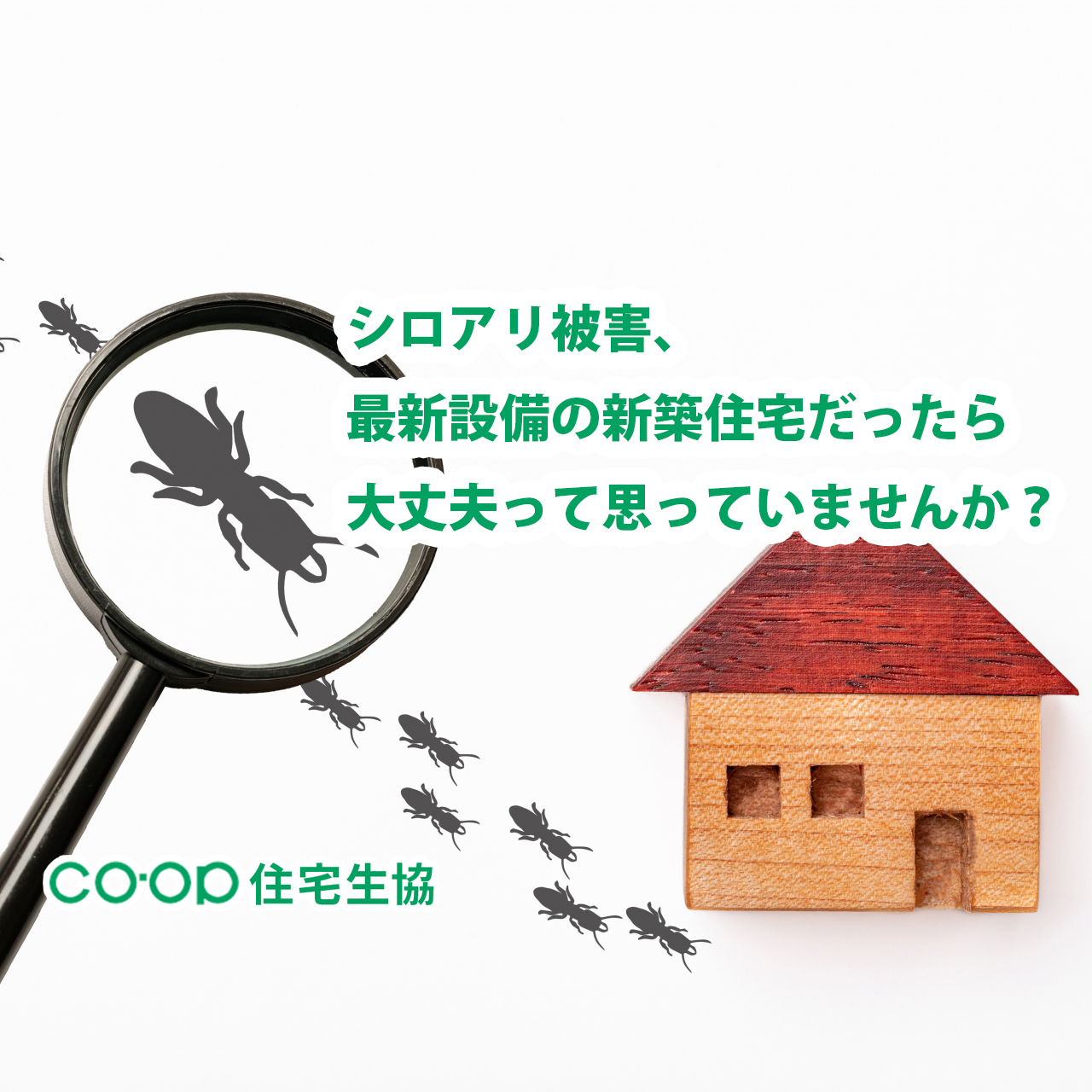 シロアリ被害 最新設備の新築住宅だったら大丈夫って思っていませんか 生活協同組合 消費者住宅センター